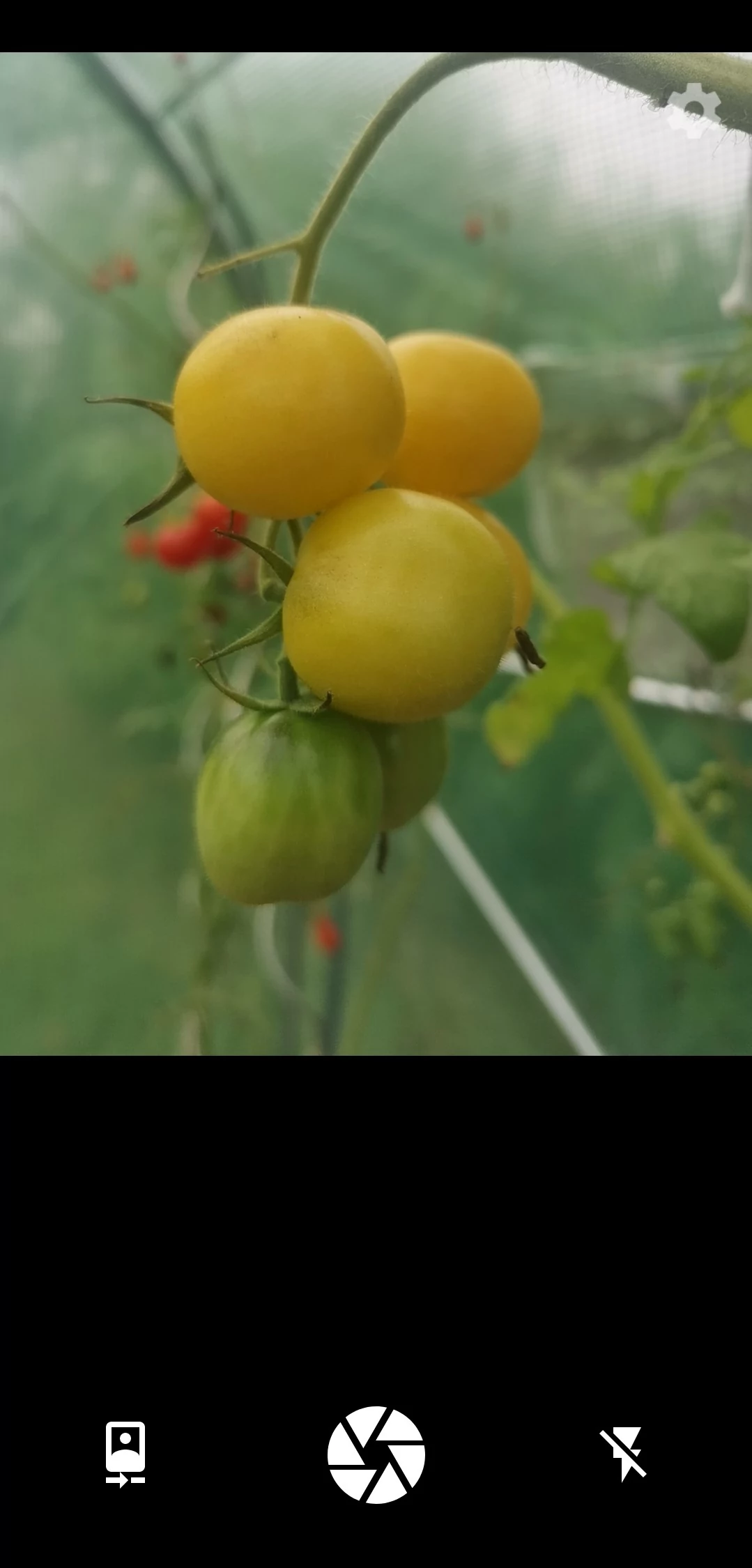 Simple Camera screenshot © Lola Gréco pour Clubic