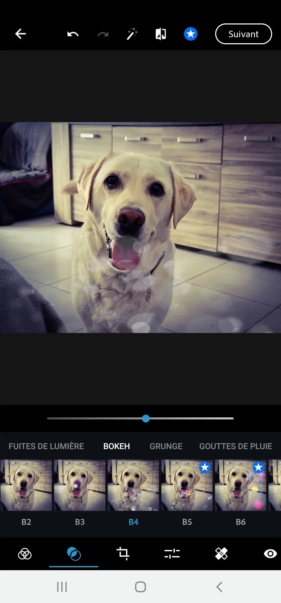 Adobe Photoshop Express © Mathieu Grumiaux pour Clubic