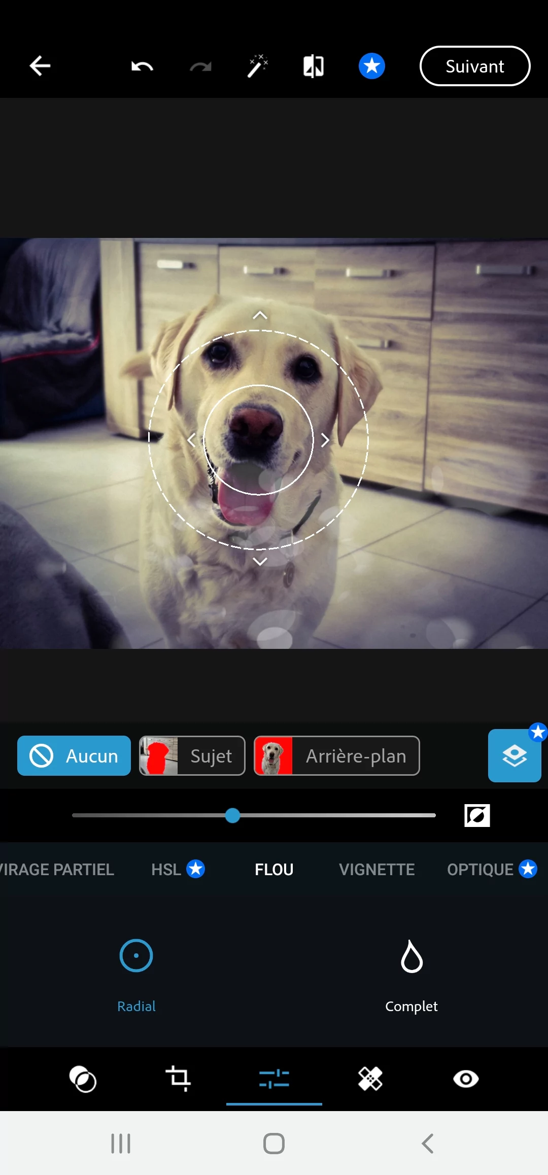Adobe Photoshop Express © Mathieu Grumiaux pour Clubic