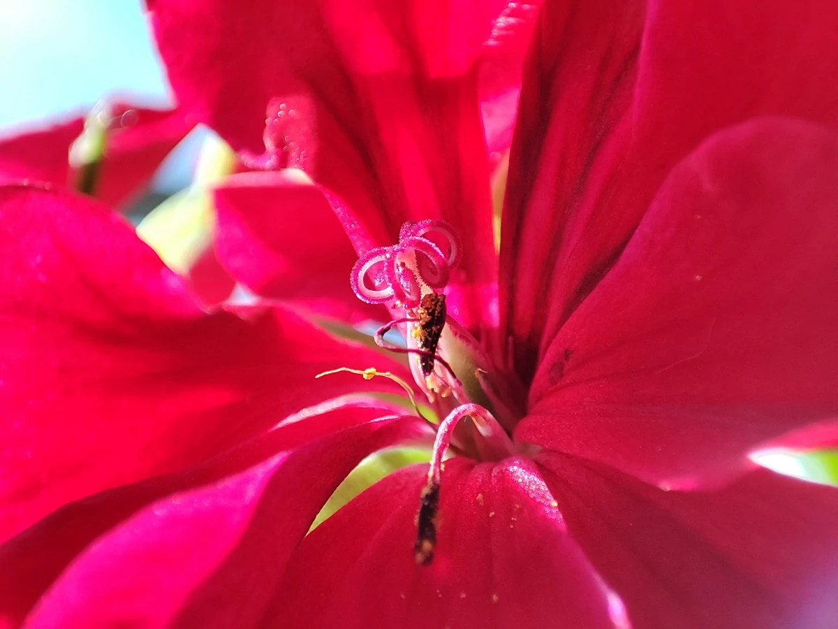 Xiaomi 11T Pro test © © Pierre Crochart pour Clubic