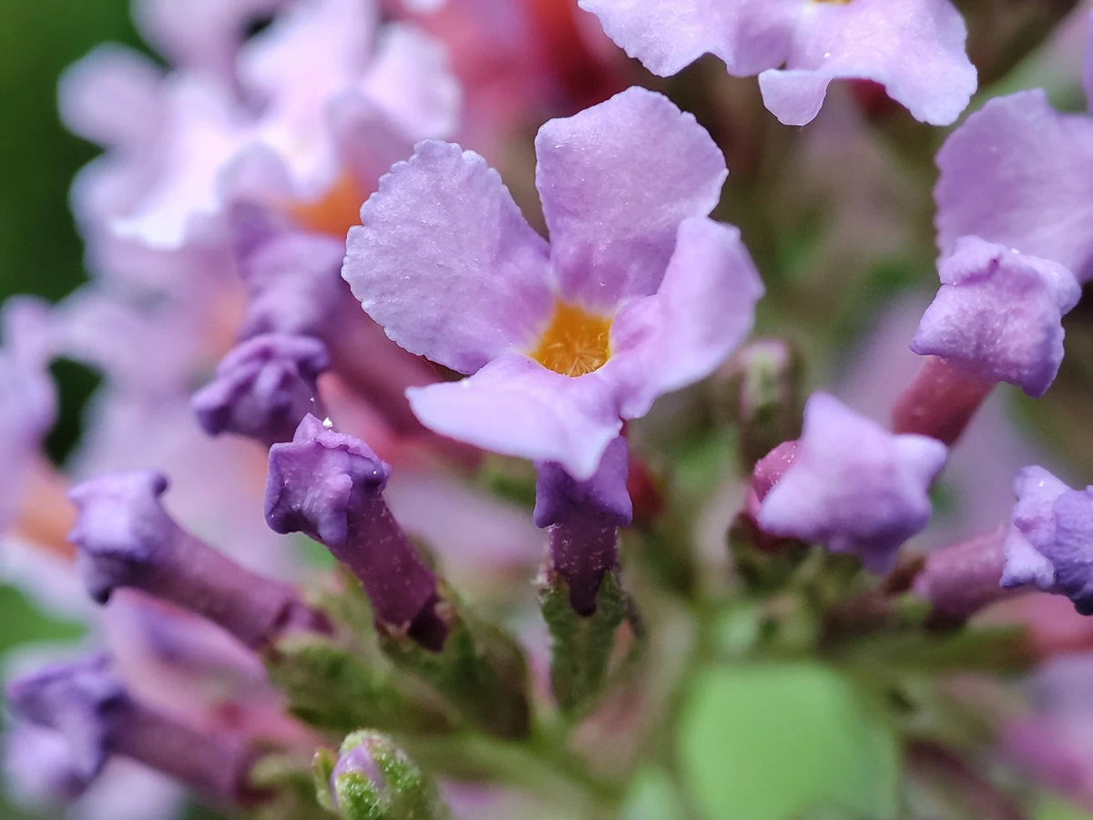 Xiaomi 11T Pro test © © Pierre Crochart pour Clubic