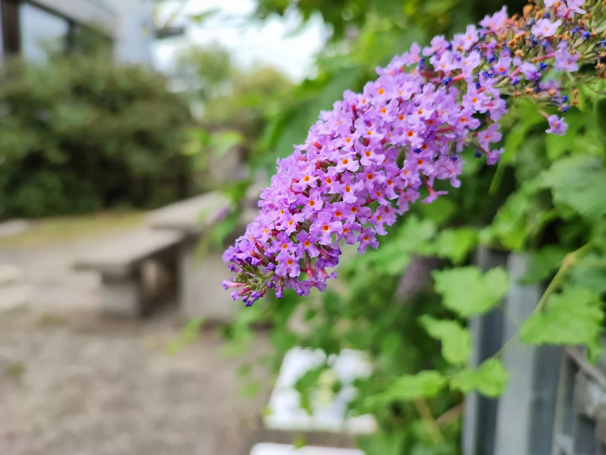 Xiaomi 11T Pro test © © Pierre Crochart pour Clubic