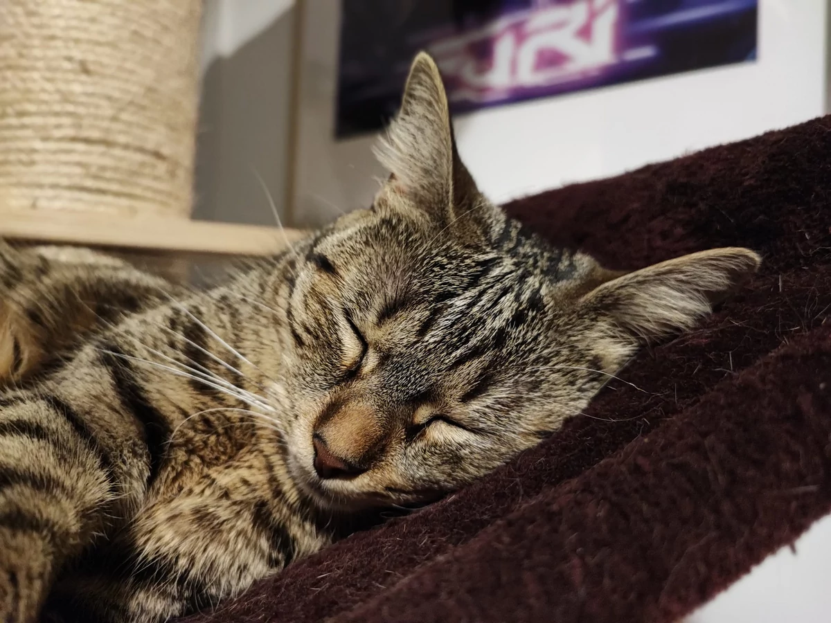Xiaomi 11T Pro test © © Pierre Crochart pour Clubic