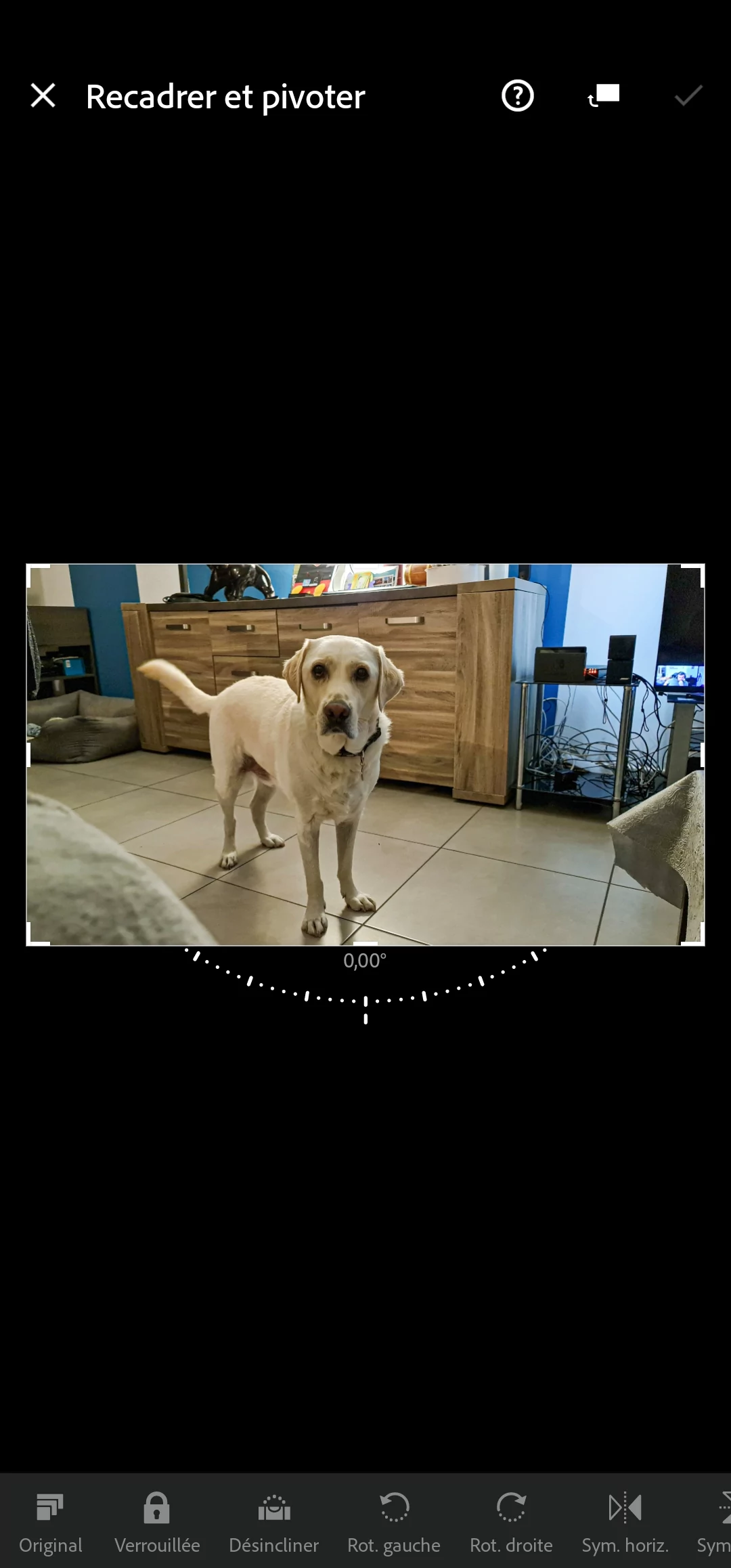 Adobe Lightroom Android
