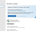 Windows 11 : dernière étape avant le lancement, la Release Preview