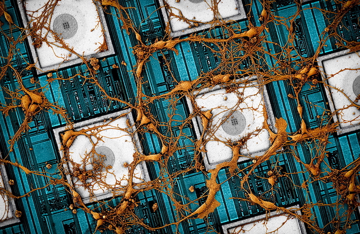 Samsung veut copier/coller le cerveau humain sur un réseau de puces 3D
