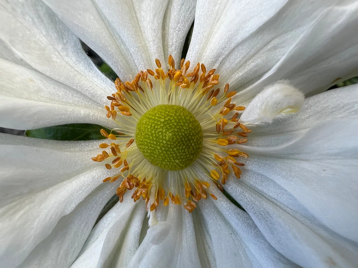 iPhone 13 Pro - iPhone 13 Pro Max test © © Pierre Crochart pour Clubic