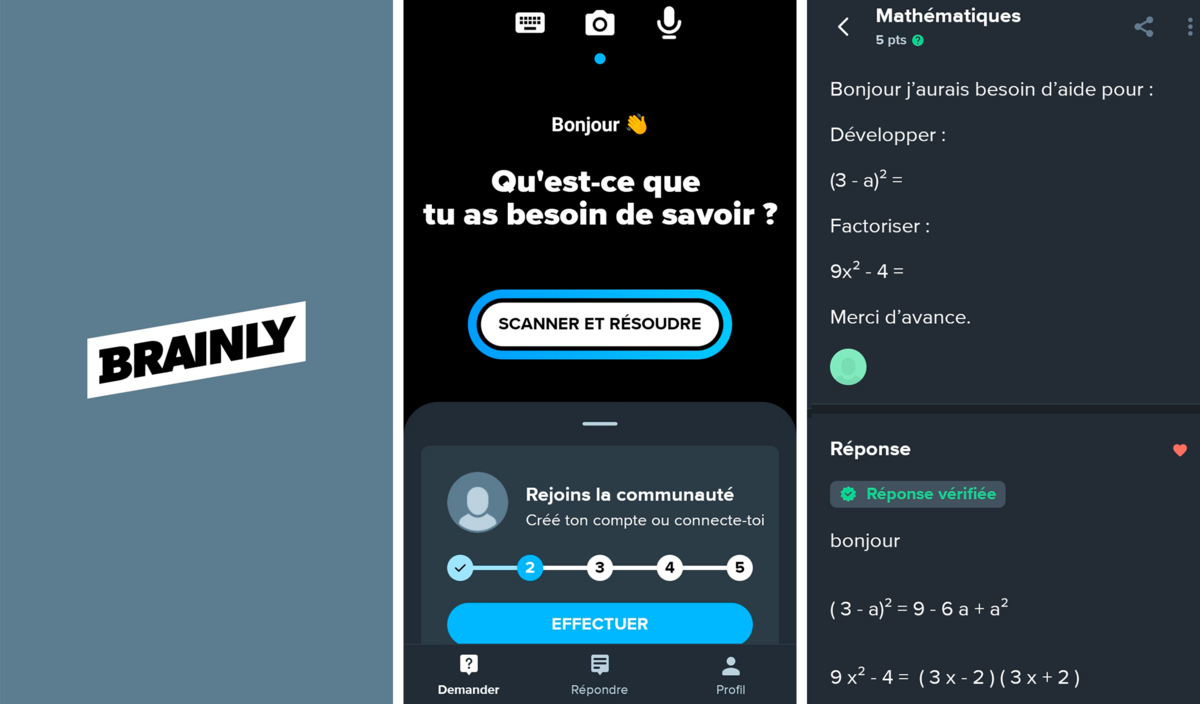 Brainly 1