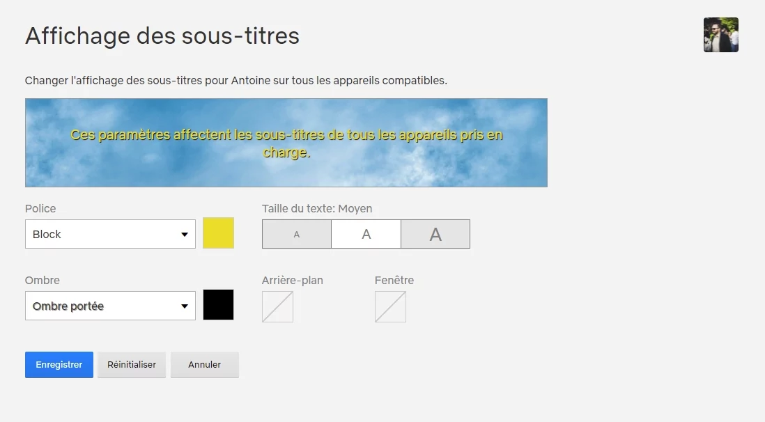 subs Netflix © Capture d'écran