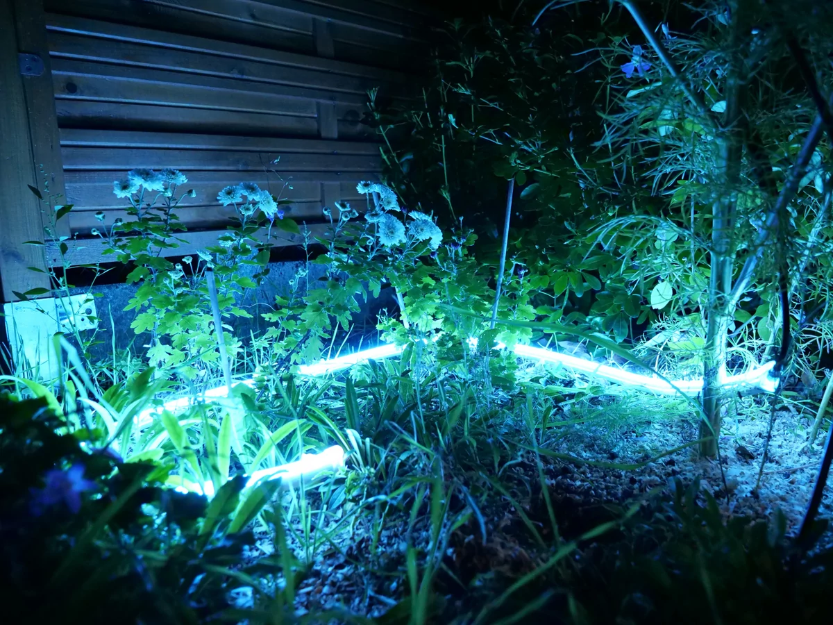 Innr Outdoor Flex Light Colour © David Nogueira