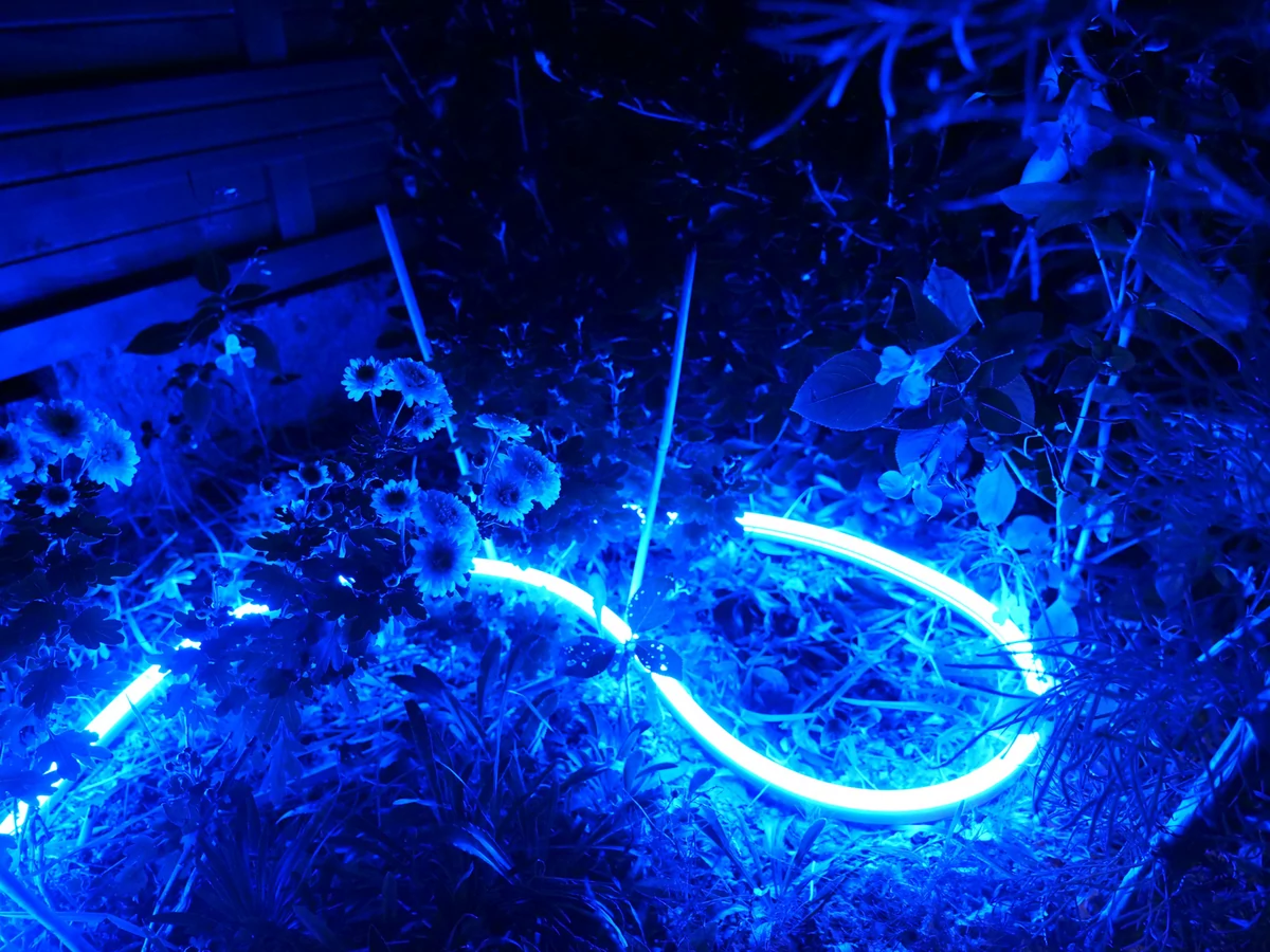 Innr Outdoor Flex Light Colour © David Nogueira