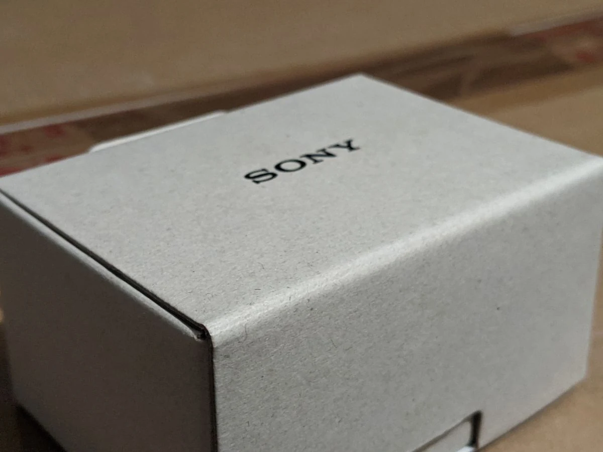 Sony WF-C500