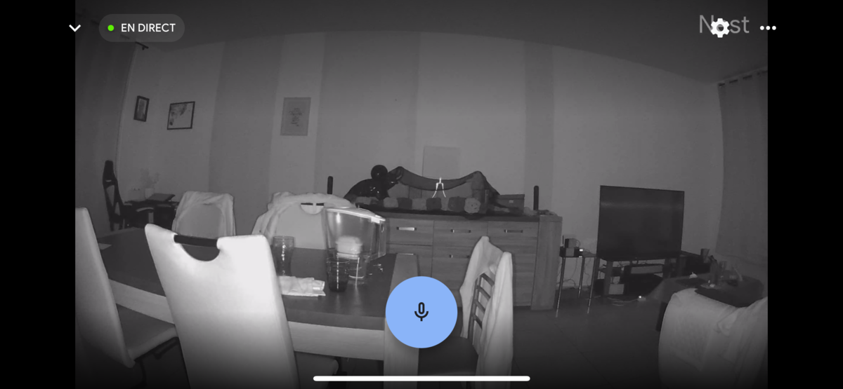 Test Google Nest Camera Intérieur