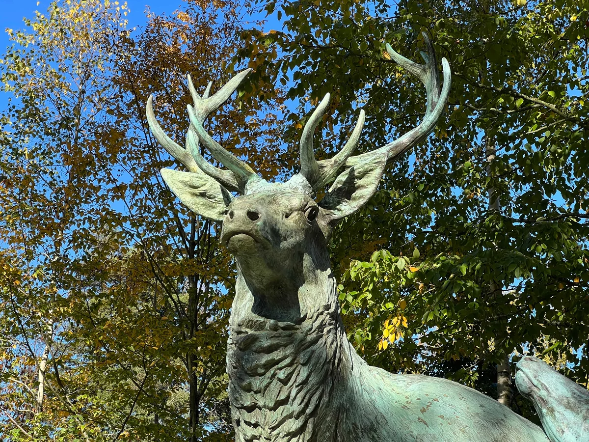 iPhone 13 Pro Pixel 6 Pro comparo photo © © Pierre Crochart pour Clubic