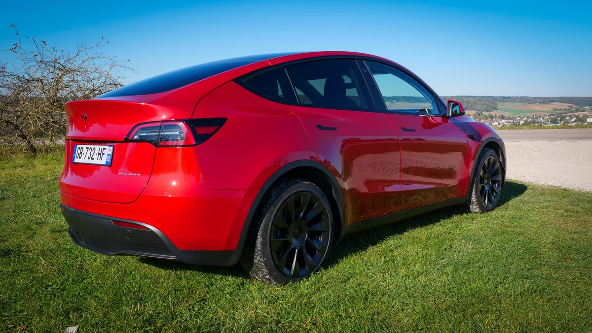 Tesla Model Y © David Nogueira