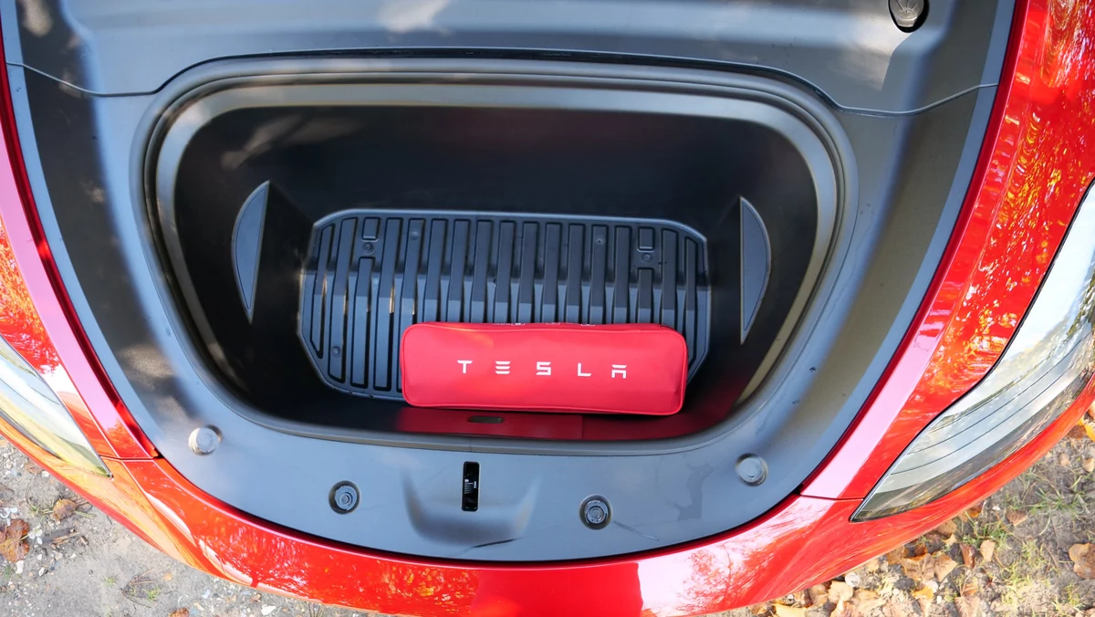 Tesla Model Y © David Nogueira