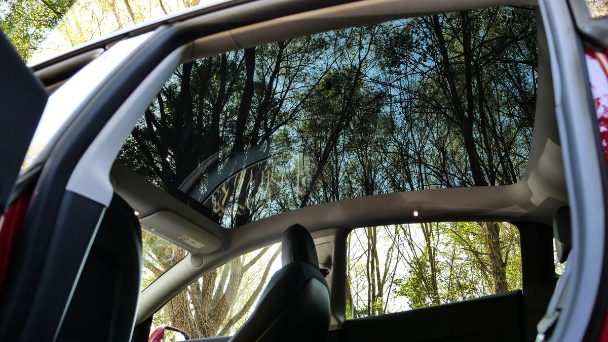 Tesla Model Y © David Nogueira