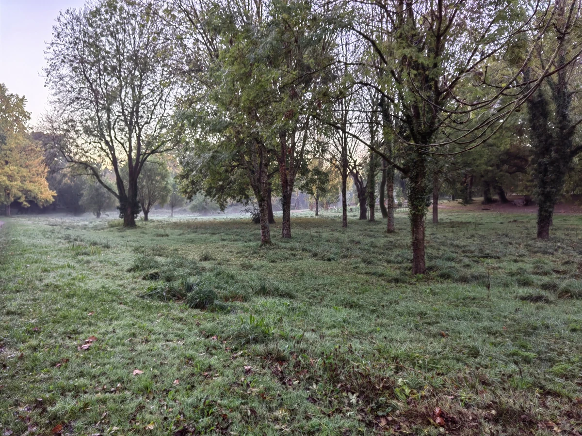 Test Huawei Nova 9 © Christelle Perret