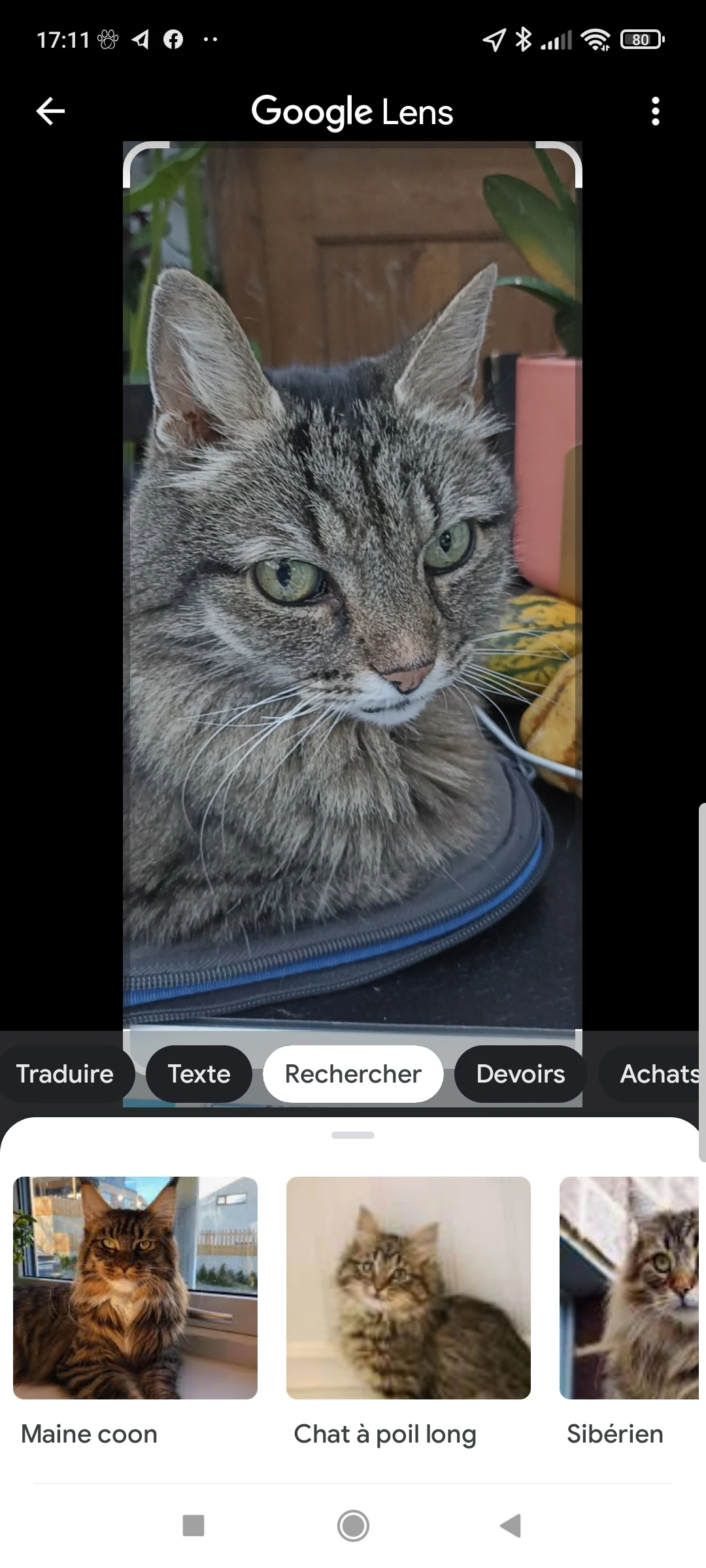 Lens