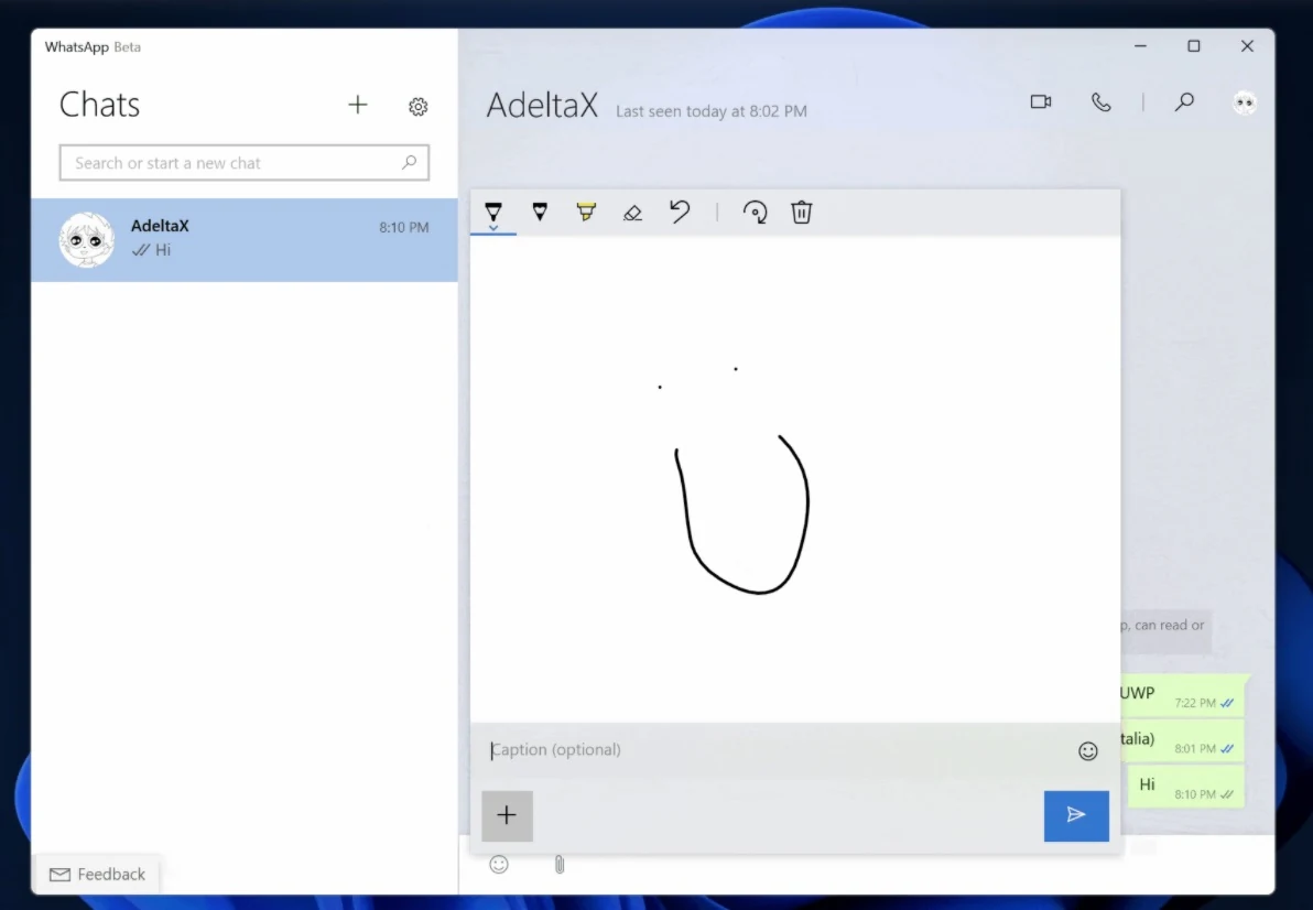 WhatsApp Windows 11 © Windows Latest