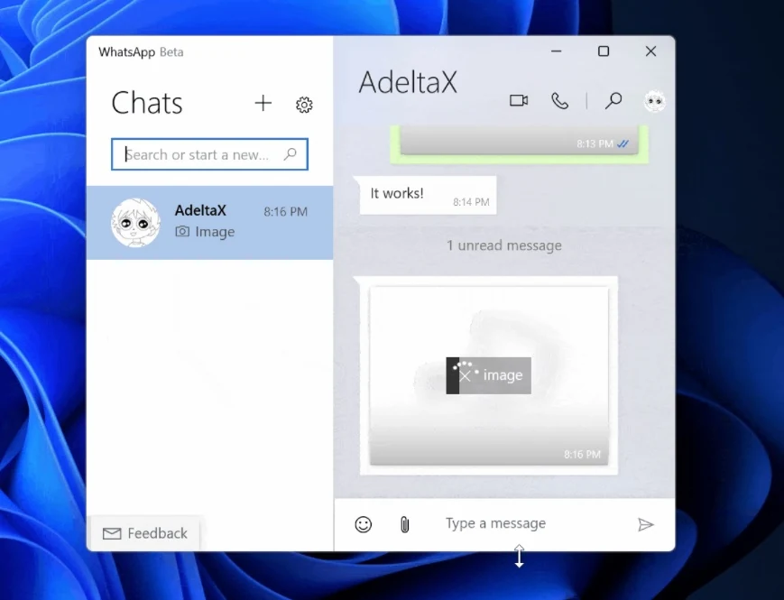 WhatsApp Windows 11 © Windows Latest