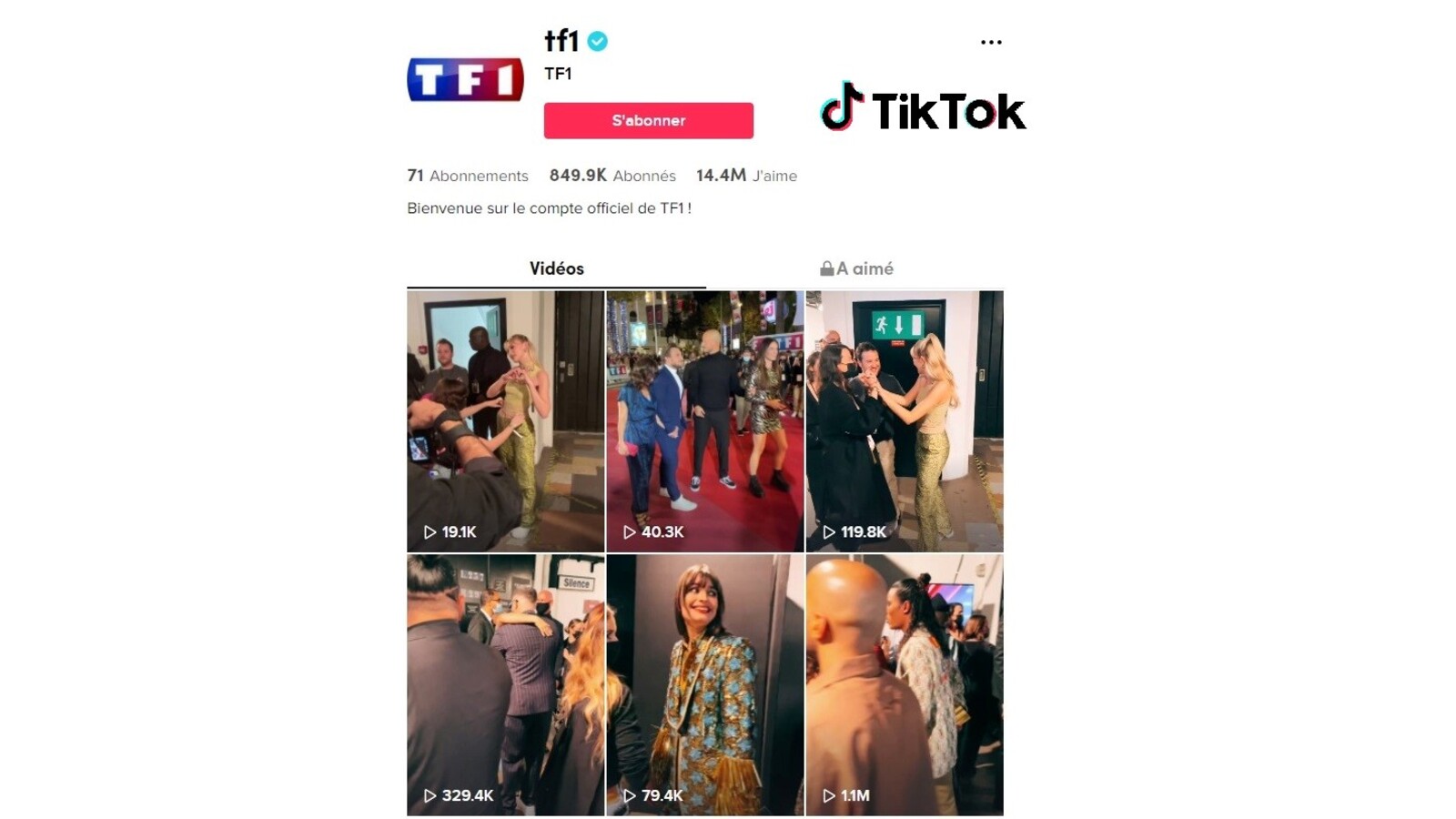 TF1, M6, Arte... le monde du petit écran de plus en plus présent sur TikTok