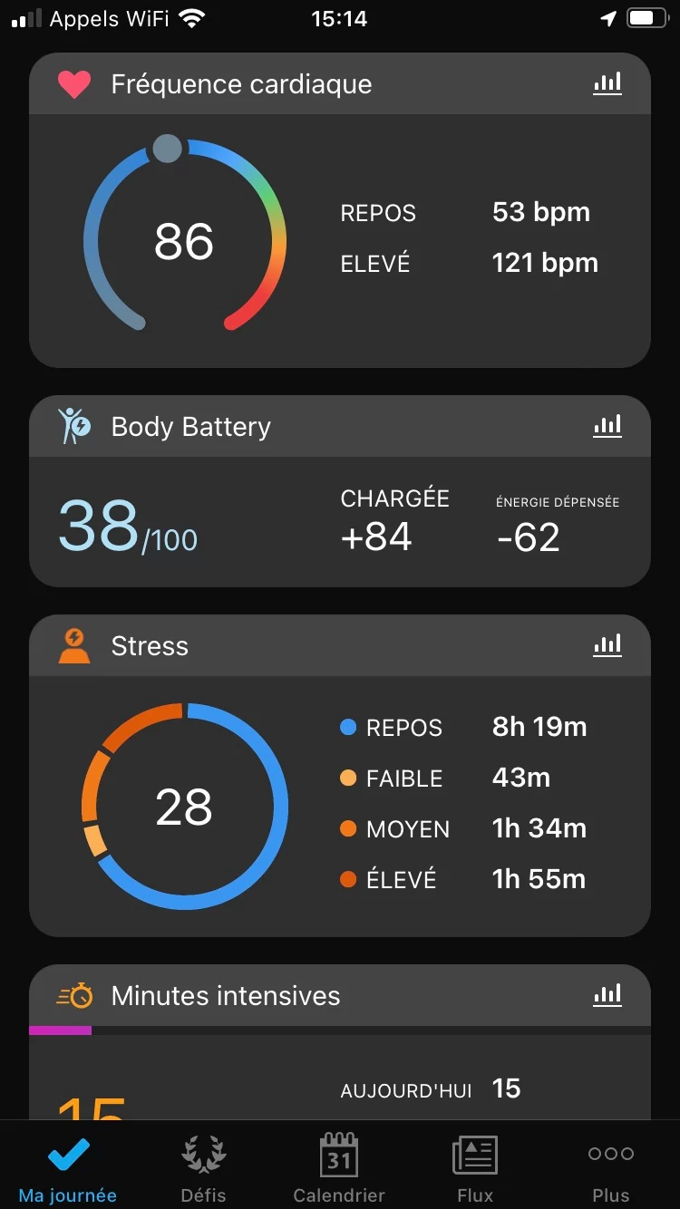Garmin Connect - Menu 2 © Johan Gautreau