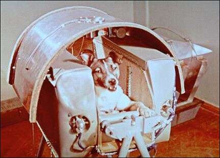 Laika chien spoutnik-2 capsule © ND/NASA