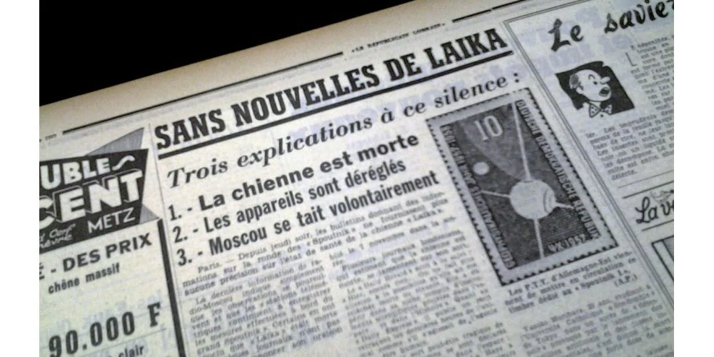 Laika chien espace républicain lorrain © Le Républicain Lorrain