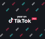 TikTok dévoile son palmarès des vidéos les plus vues en 2021