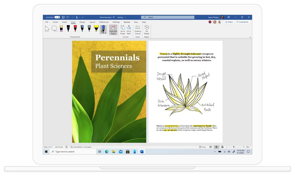 Microsoft_Word