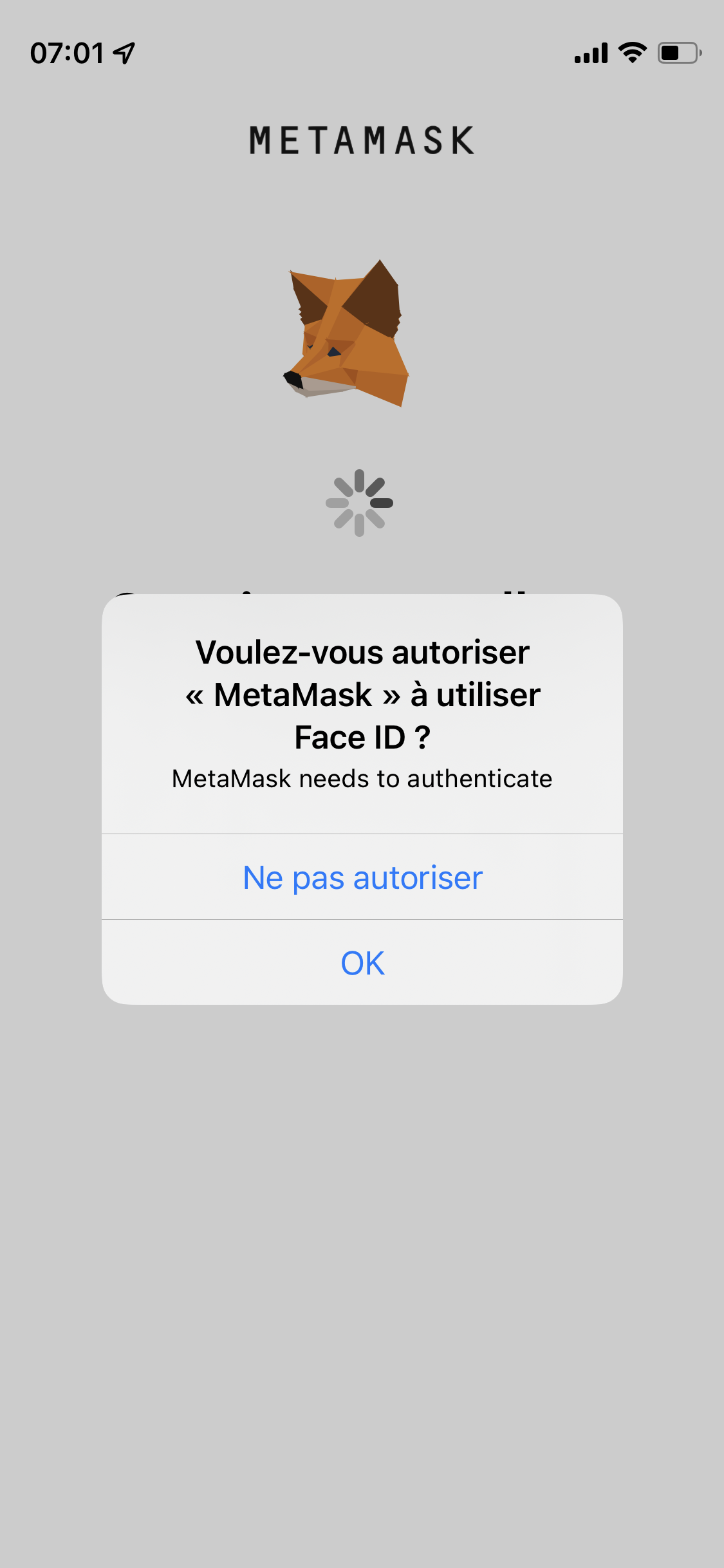 Metamask iOS screen 8