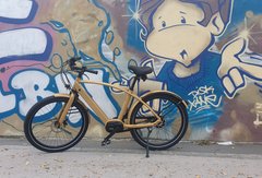 Test Reine Bike (2021) : un vélo électrique poids lourd complet