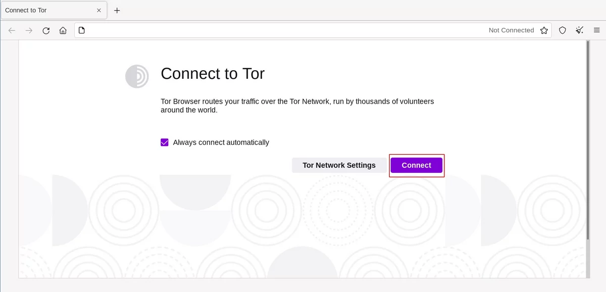 browser tor flash mega