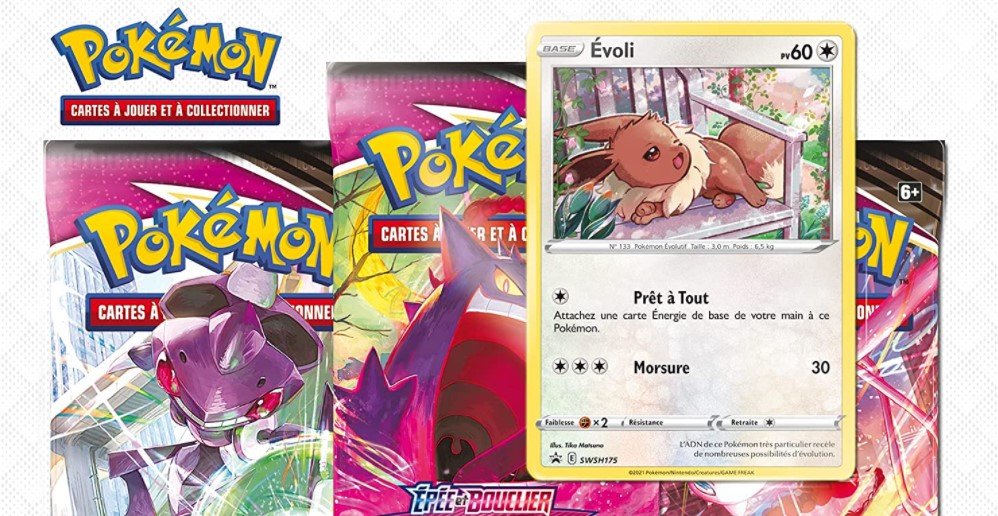 Cartes Pokémon : il dépense l'argent de son prêt pour une carte
