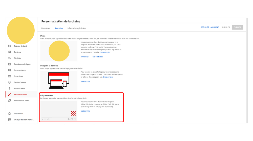 YT Filigrane 0 © © Google / Youtube