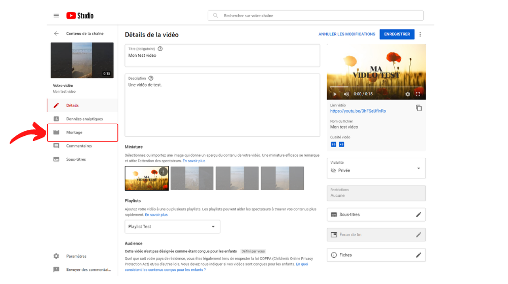 YT Montage 1 © © Google / Youtube