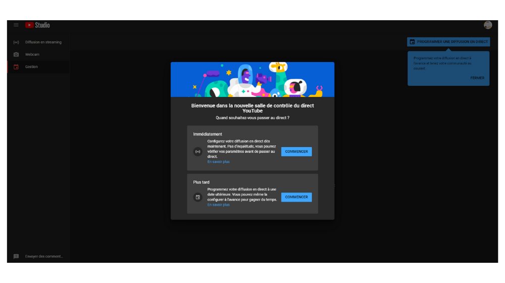 YT Direct 2 © © Google / Youtube