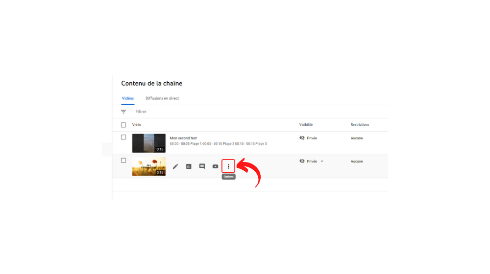 YT Suppr 2 © © Google / Youtube