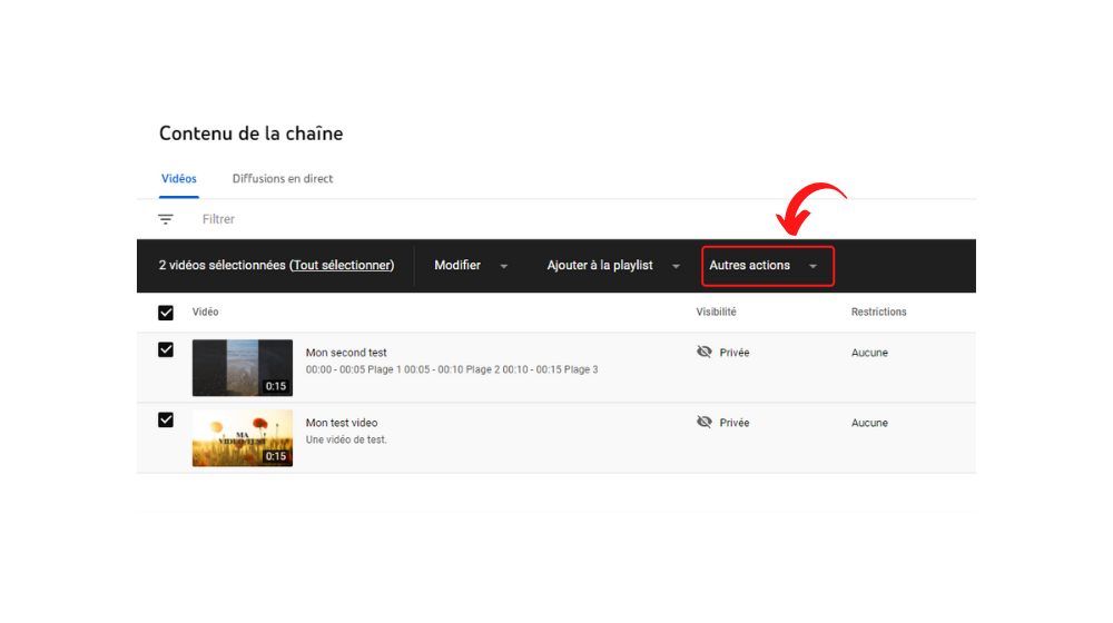 YT Suppr 3 © © Google / Youtube
