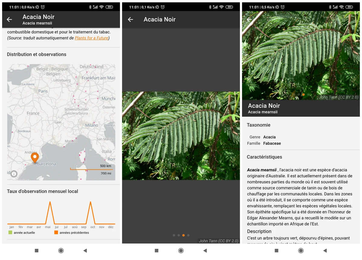 Screenshot Flora Incognita