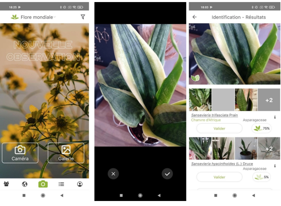 PlantNet