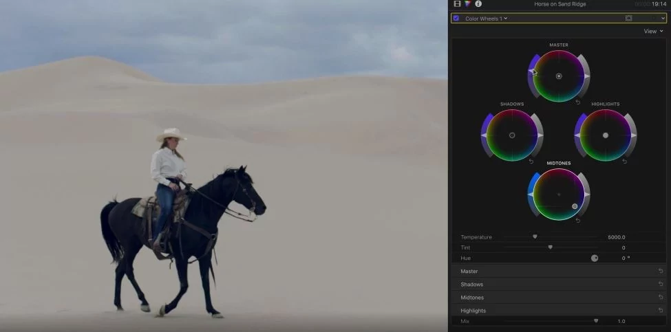 FCP Color © Apple