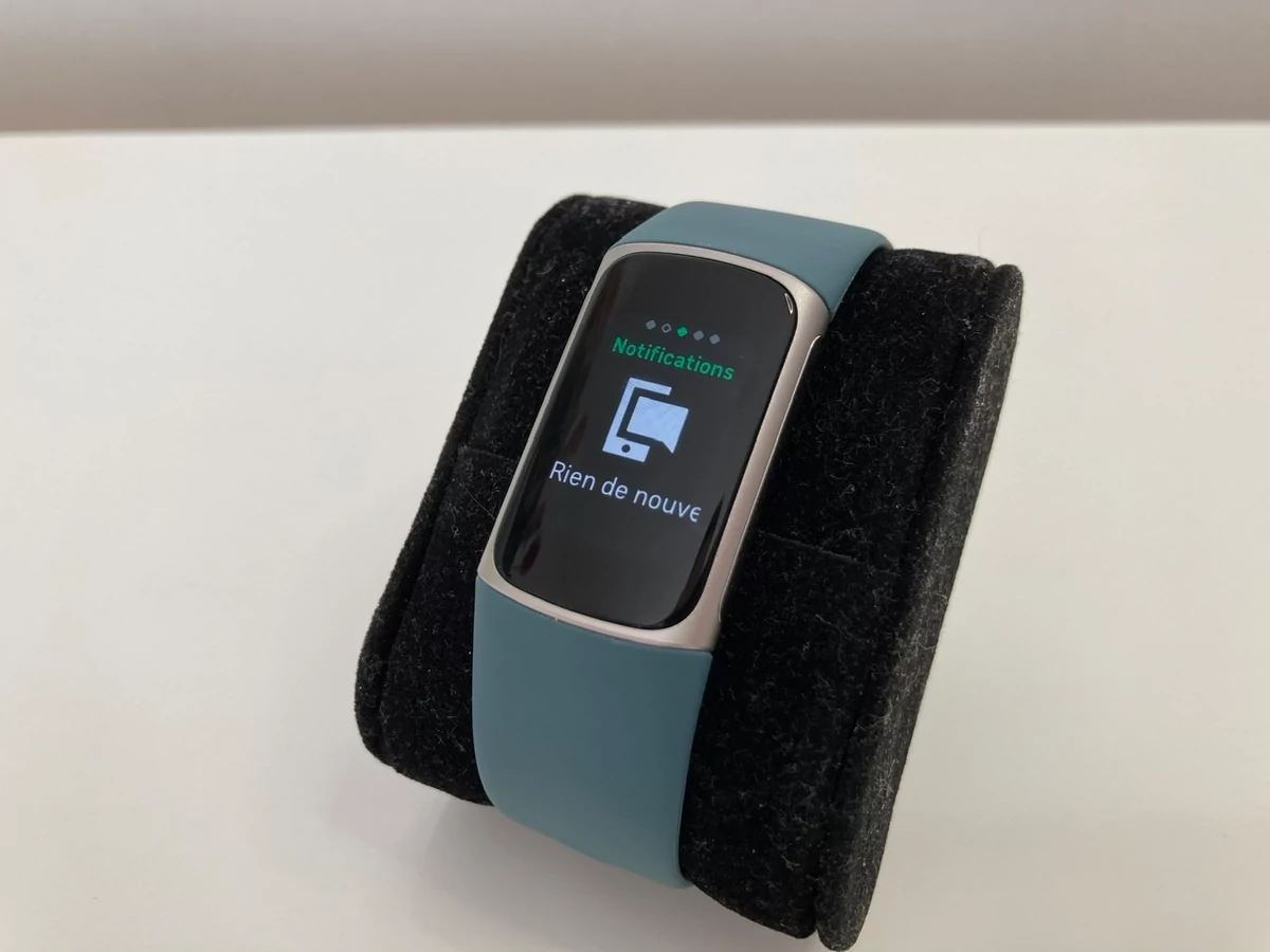 Fitbit Charge 5 - Notifications © Johan Gautreau