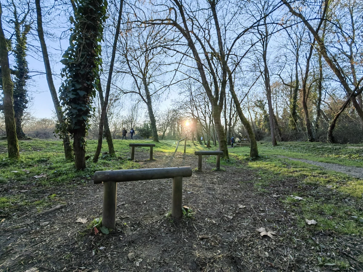 photo ultra-grand-angle p50 pro huawei