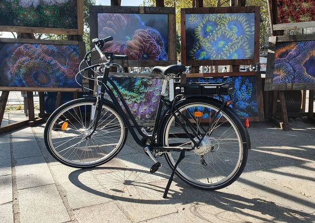 Décathlon Elops 120E