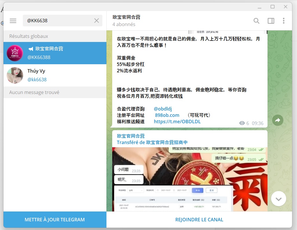Comment Appelle-t-on Cette Catégorie D'attaque Informatique De Site Web.