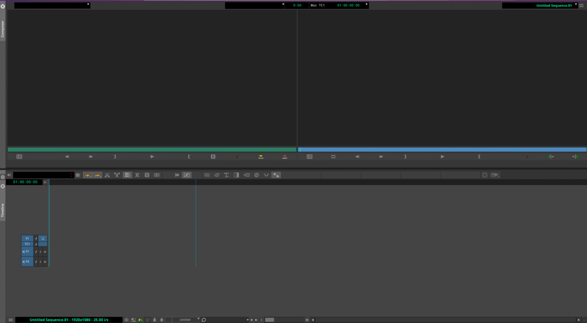 Media Composer Ultimate interface © Avid
