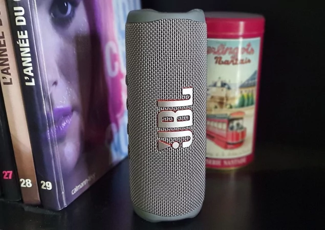 JBL Flip 6