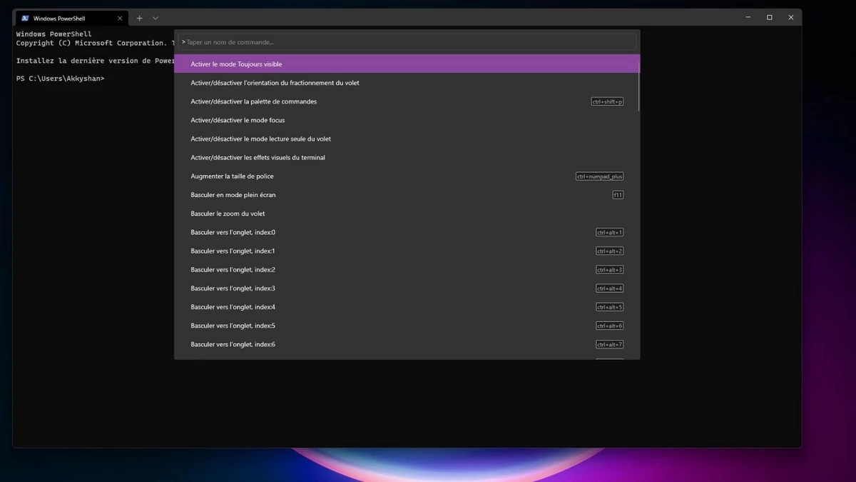 Windows Terminal